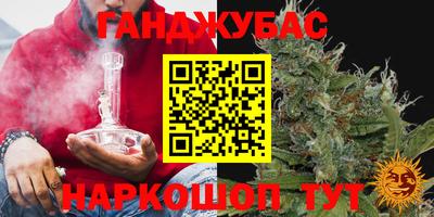 прущие грибы Беслан