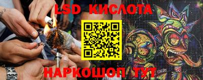 кокс Бийск