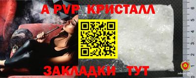 прущие грибы Беслан