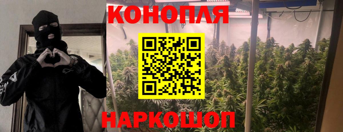 Конопля индика Городец